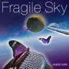 Planet Love - Fragile Sky